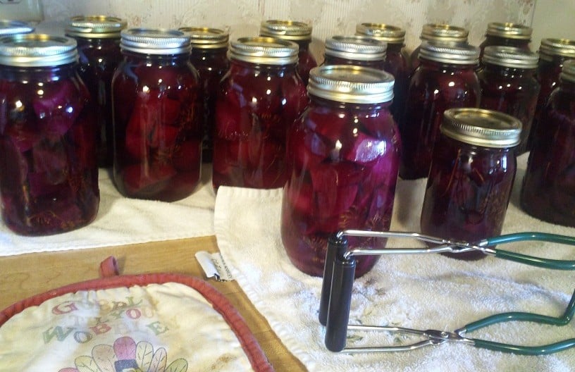 Pickled Beets