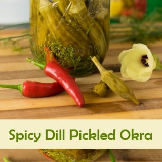 Spicy Dill Pickled Okra