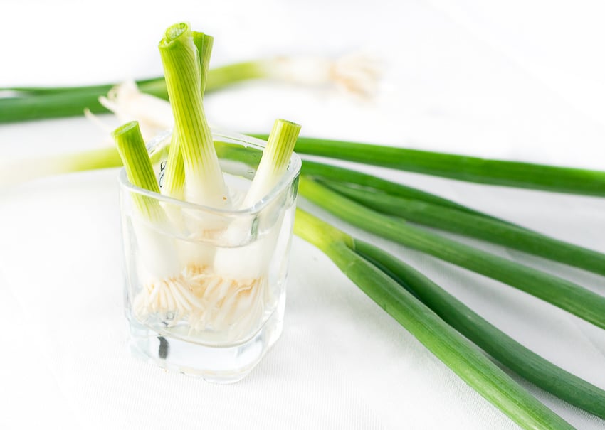 Easy Chili Cheese Dip Green Onions