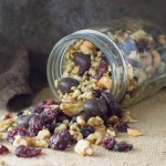 Blueberry Vanilla Trail Mix with Walnuts and Cashews recipe