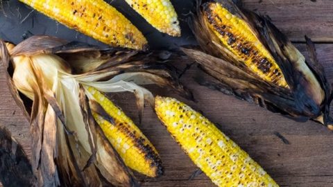 How To Grill Corn On The Cob Fox Valley Foodie
