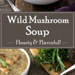 Wild Mushroom Soup recipe.