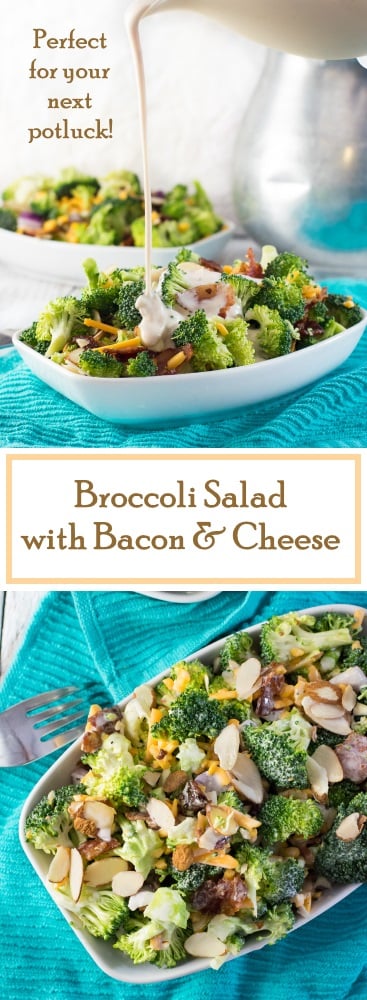 Broccoli Salad with Bacon and Cheese recipe. Perfect for your next potluck.