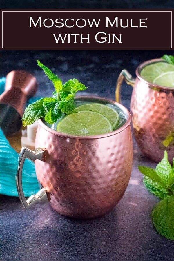 Moscow Mule with Gin Fox Valley Foodie