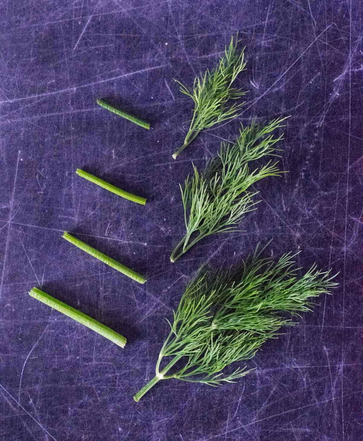 Chopped dill on black background.