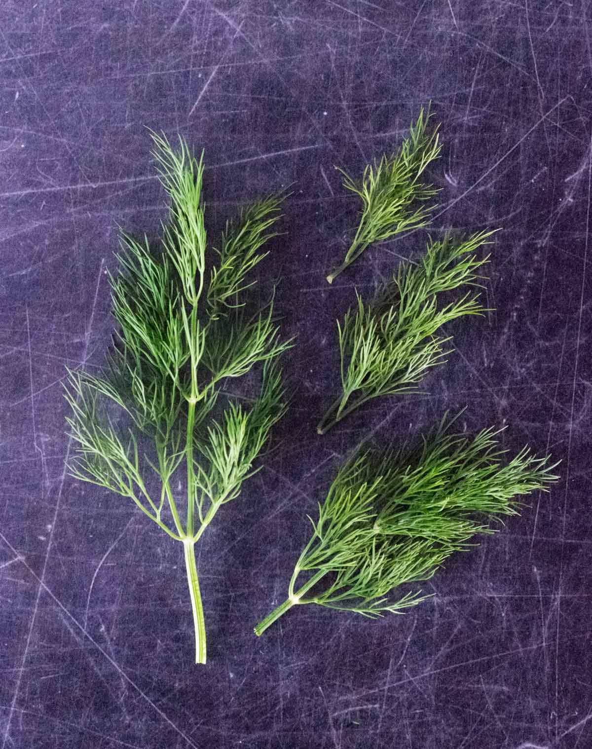 Fresh dill sprigs shown from above.