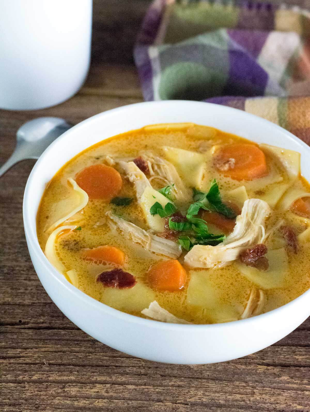 Bowl of chicken noodle soup showing ingredients.