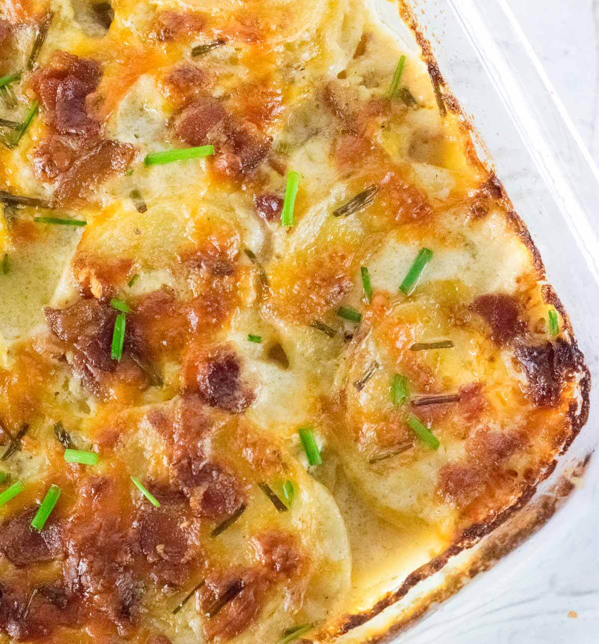 Close up scalloped potatoes with crispy burnt cheese.