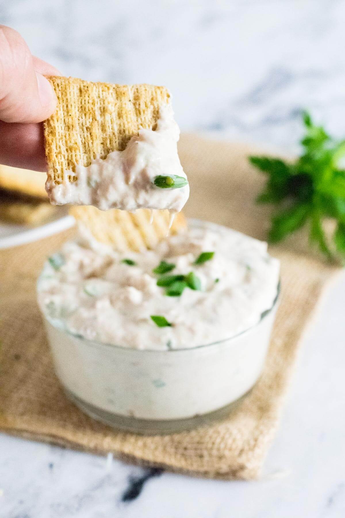 Serving hearty crackers with tuna dip.