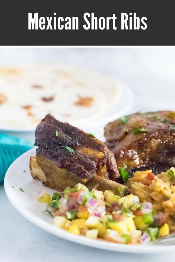 Mexican Short Ribs Fox Valley Foodie