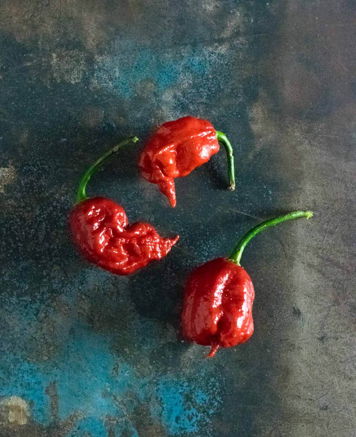 Ripe Carolina Reaper peppers.