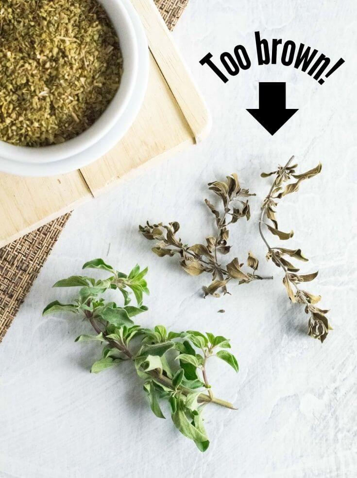 Over-dried oregano.